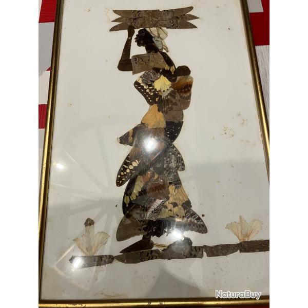 Tableau ailes de papillon