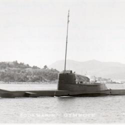 Carte Postale SOUS MARIN GYMNOTE -N&deg;7864