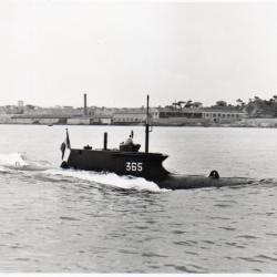 Carte Postale Sous Marin de poche 365 "1951 -N&deg;7867