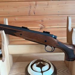 REMINGTON 700 en 300 WM
