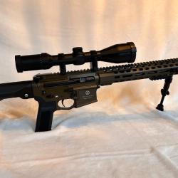 Carabine lin&eacute;aire Schmeisser SP15 LMR -Cal 222 Rem