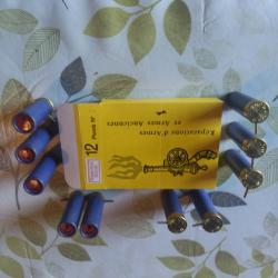 Bo&icirc;te de cartouches a broche Cal 12 (2xl)