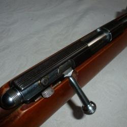 gaucher msa 22lr