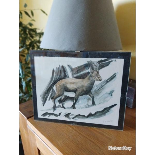 Reprographie bouquetin G. Bressler, peintre Genevois