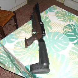 carabine pcp reximex tormenta walnut 5.5 categorie d 19.9 joules