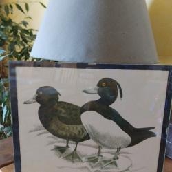 Reprographie canards G. Bressler 21x27cm