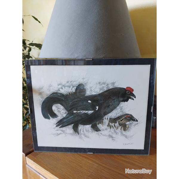 Reprographie G�rald Bressler grand tetras 27x21cm