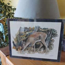 Reprographie biche G&eacute;rald Bressler 21x27cm