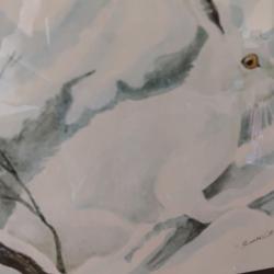 Reprographie lievre des neiges G&eacute;rald Bressler 21x27cm