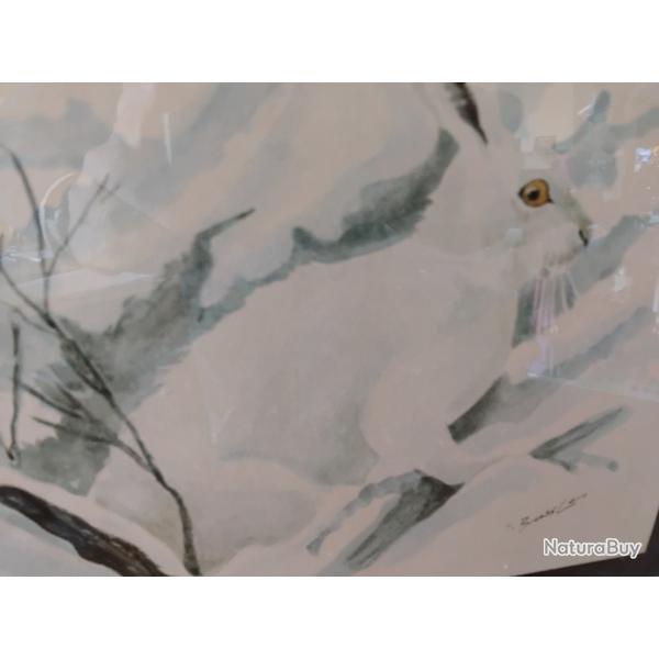 Reprographie lievre des neiges G�rald Bressler 21x27cm