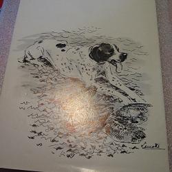 ouvrage sur la chasse &agrave; la b&eacute;casse  de Lamotte 120 pages