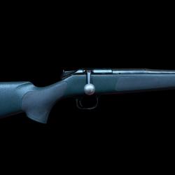 Blaser r93 Professionnal 300 Win Mag