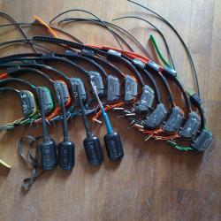 Collier GPS Dogtra pathfinder1
