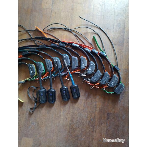 Collier GPS Dogtra pathfinder1