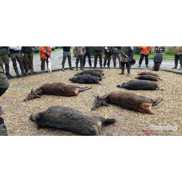 Action de chasse Loiret