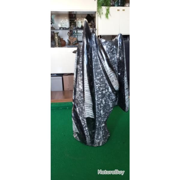 Importante sculpture de c�phalopodes fossilis�s