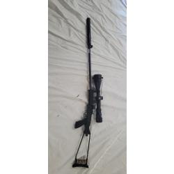 Carabine 22 lr CHIAPPA