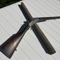 Simplex &agrave; chien