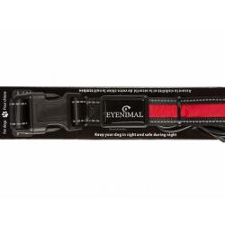 Collier lumineux pour chien Eyenimal Taille S