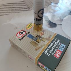 Balle fleche Sauvestre - sans plomb