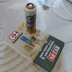 Balle fleche Sauvestre - sans plomb - cal 12/67