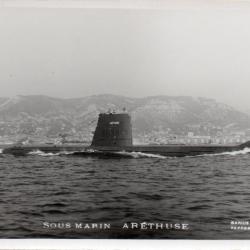 Photographie Sous Marin Ar&eacute;thuse -N&deg;7905