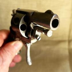 Tr&egrave;s beau Bulldog en calibre 320 - Bel &eacute;tat