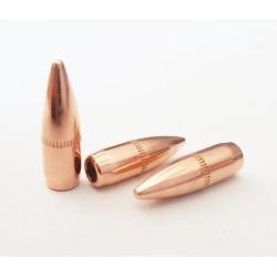 200 Ogives Partizan .224 55 Grs FMJ BT