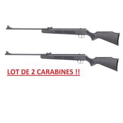 VENTE FLASH !!! - LOT DE 2 CARABINES UX R-FORCE ONE CAL 4.5MM 19.9 J SYNTHETIQUE