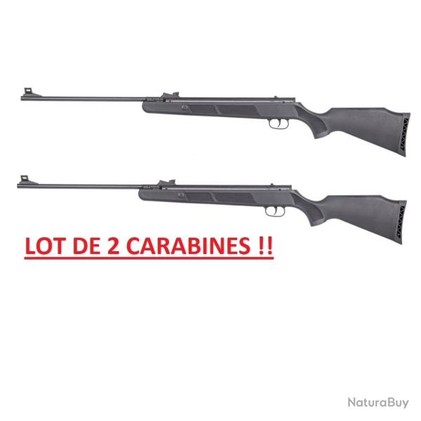 VENTE FLASH !!! - LOT DE 2 CARABINES UX R-FORCE ONE CAL 4.5MM 19.9 J SYNTHETIQUE