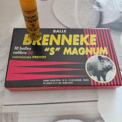 Balle Brenneke "S" Magnum