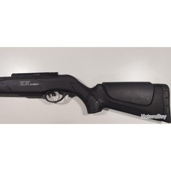 Carabine gamo igt system