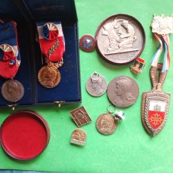 lot medailles pins et pucelle