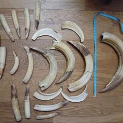 Lot de d&eacute;fenses