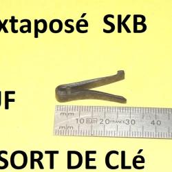 ressort de cl&eacute; SKB juxtapos&eacute; - VENDU PAR JEPERCUTE (D22E1115)
