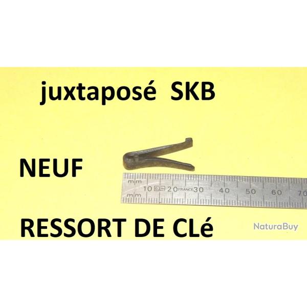 ressort de cl� SKB juxtapos� - VENDU PAR JEPERCUTE (D22E1115)