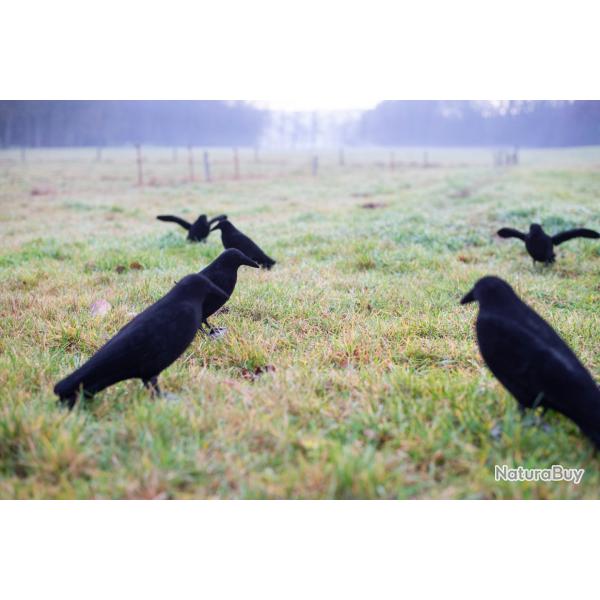 Corbeau leurre floqu� � corps entier