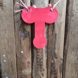 GONG 6mm DE TIR test&eacute; 22lr, 38S&W et 9mm