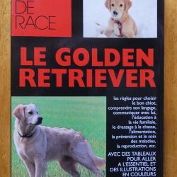 Le golden retriever de Luisa Ginoulhiac