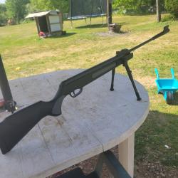 Carabine &agrave; plomb 19.5 joules