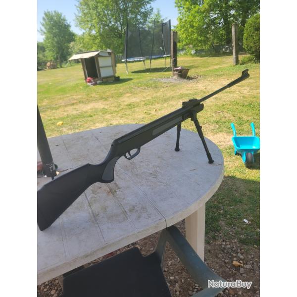 Carabine � plomb 19.5 joules