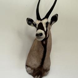 ANIMAUX D'AFRIQUE indiduels  400� et le lot complet 2200�