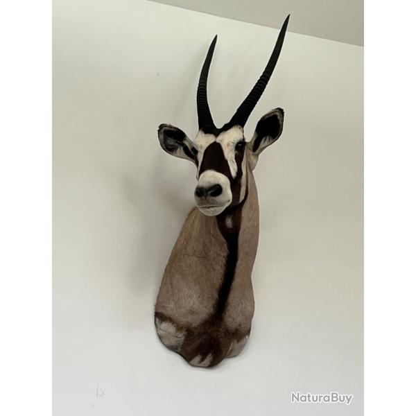 ANIMAUX D'AFRIQUE indiduels  400� et le lot complet 2200�