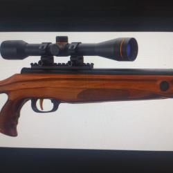 Beeman carabine &agrave; air comprim&eacute; mod&egrave;le 10620 4.5 mm 19.9 joules lunette 6x40