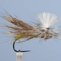 MOUCHE DC 70BL H14