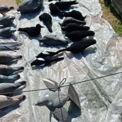 Plusieurs accessoires pour chasse aux pigeons, le tout 250 �,au d&eacute;tail prix divers.