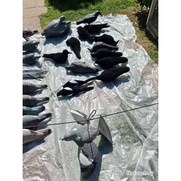 Plusieurs accessoires pour chasse aux pigeons, le tout 250 �,au d�tail prix divers.