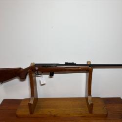 Carabine 22 lr semi automatique Reina