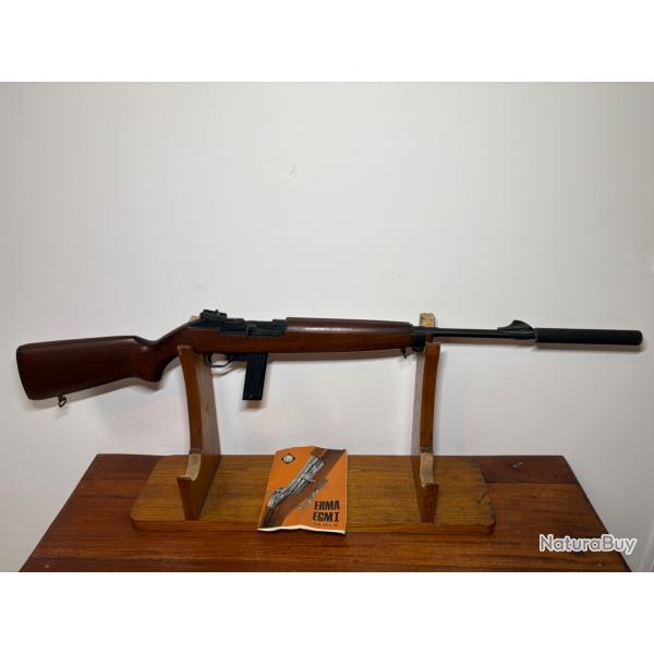 Carabine 22lr semi automatique Erma EGM1