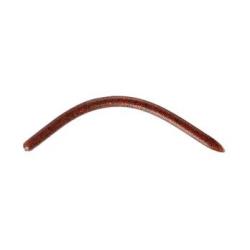 LEURRE REINS SWAMP WORM FAT 5.5 " EBIMISO SP